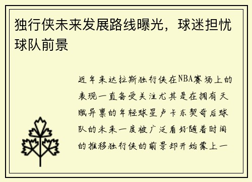 独行侠未来发展路线曝光，球迷担忧球队前景